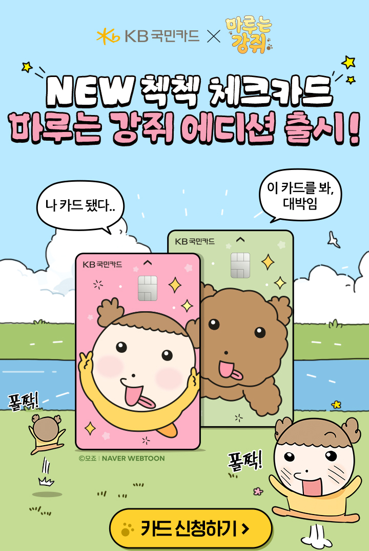 kb국민카드