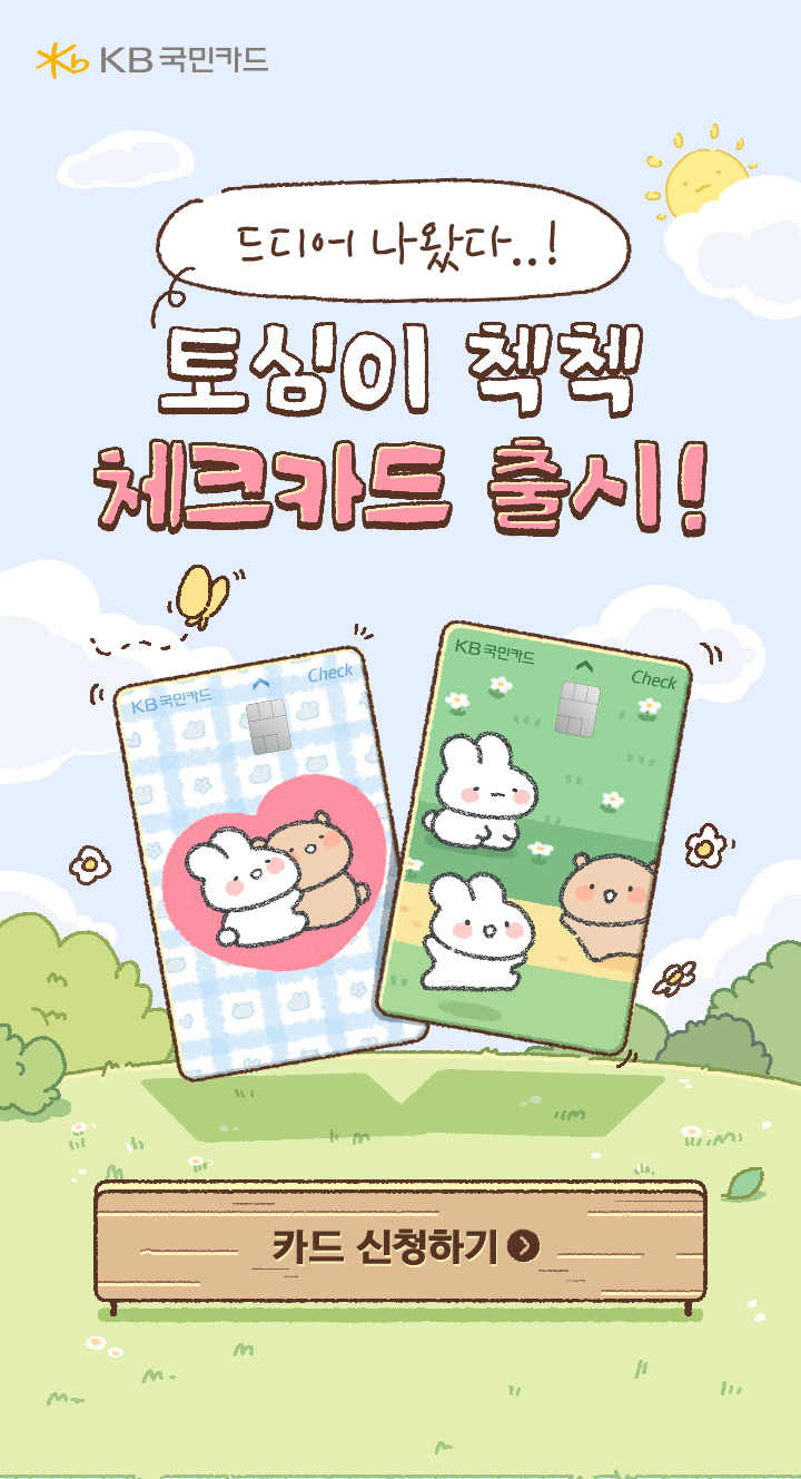 KB국민 체크카드 